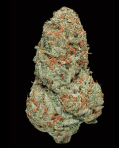 White Widow Cannabis Strain - Frosty Trichomes and Orange Hairs